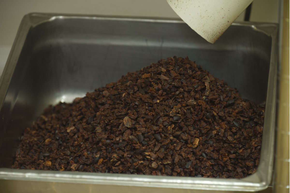descascarillado de cacao nibs de cacao